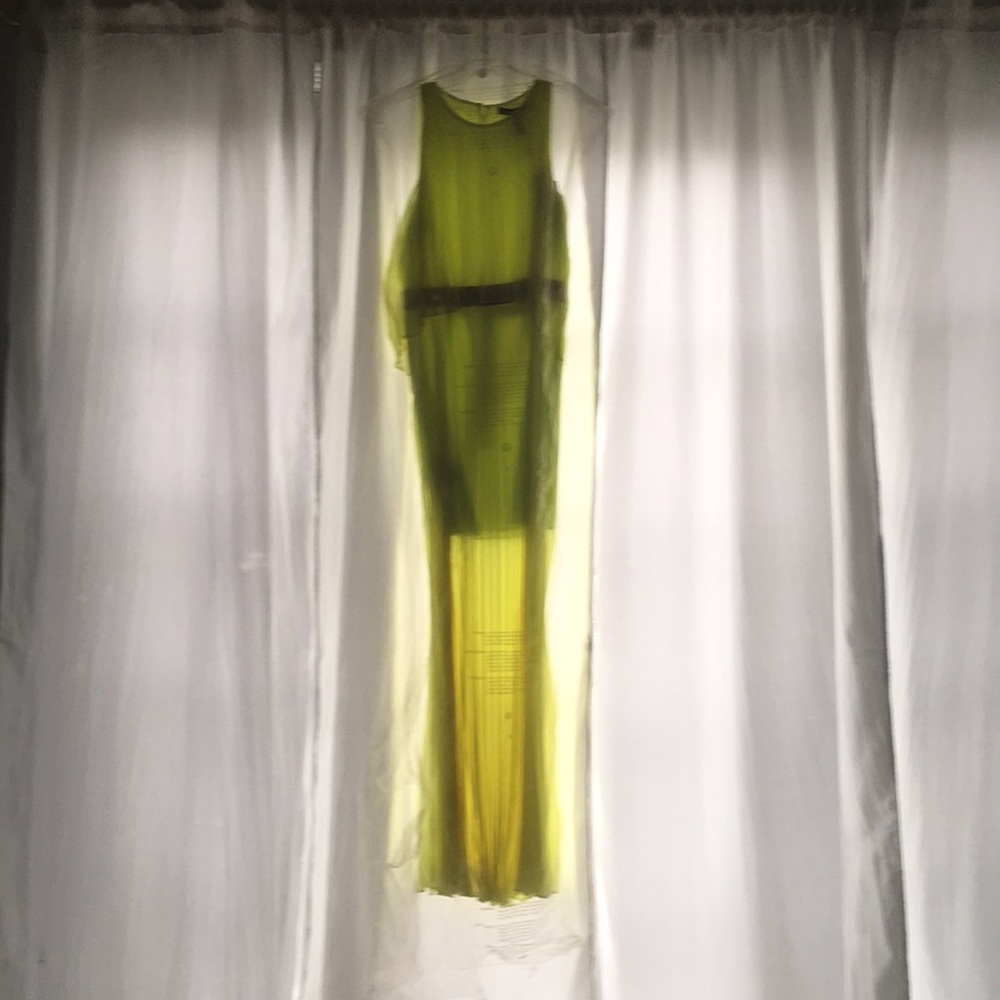 BCBG “shania” Grecian color citron gown